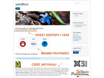 Płatny dostęp do artykułu Joomla